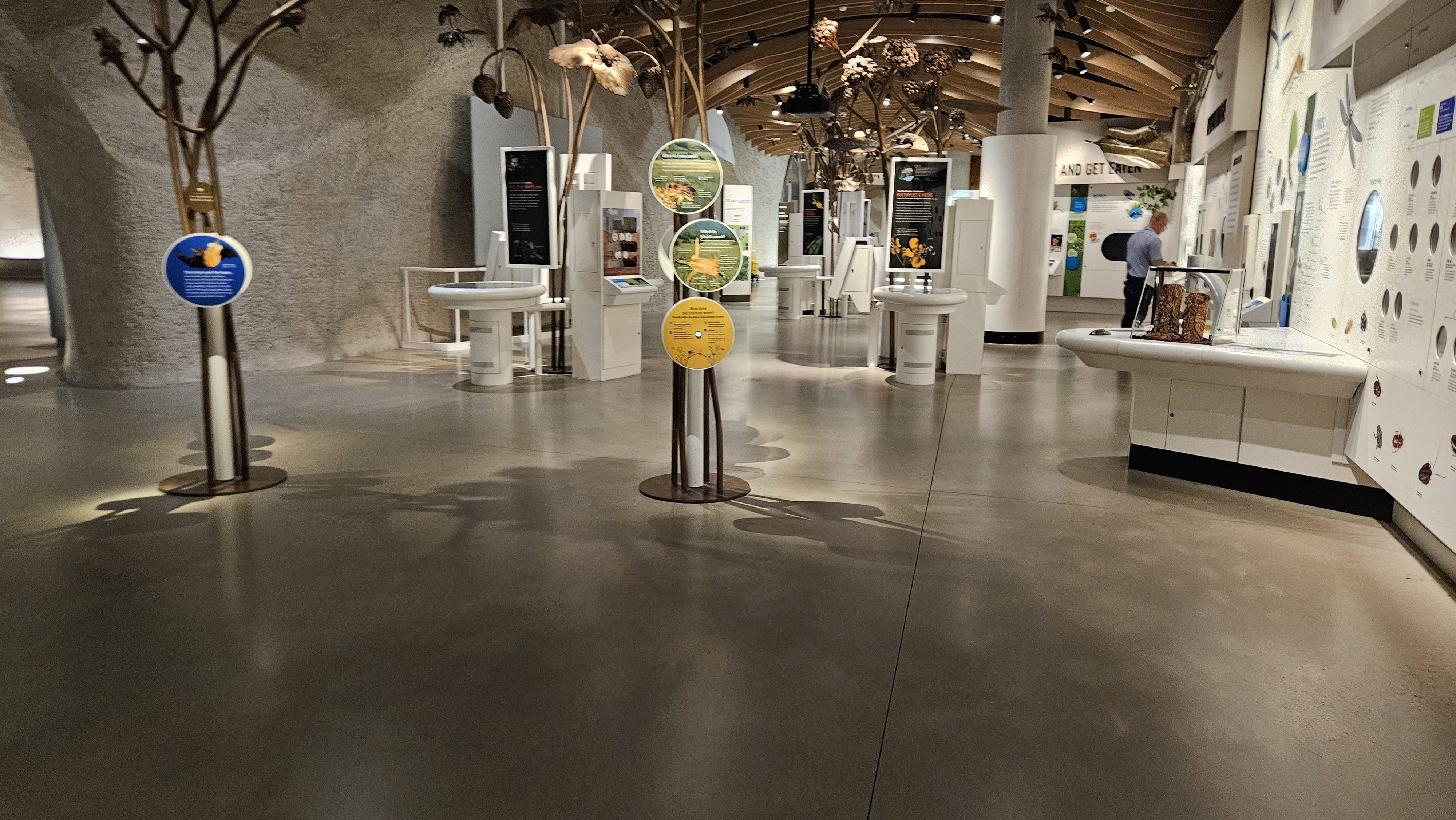 Wide view of the Insectarium exhibit hall